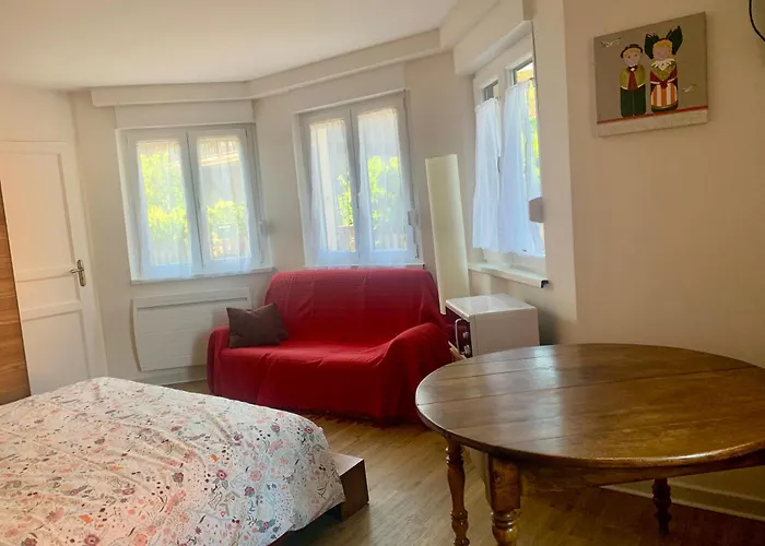 B&B Bio New